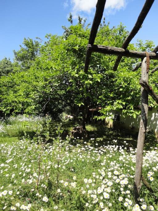 A Lovely House In Vipava Valley Ngoại thất bức ảnh