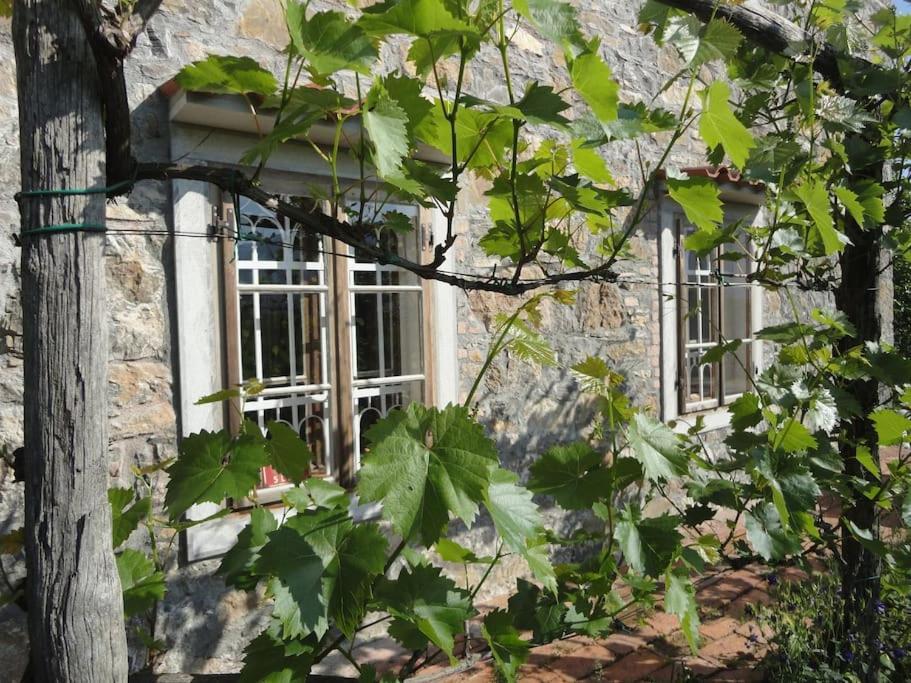 A Lovely House In Vipava Valley Ngoại thất bức ảnh