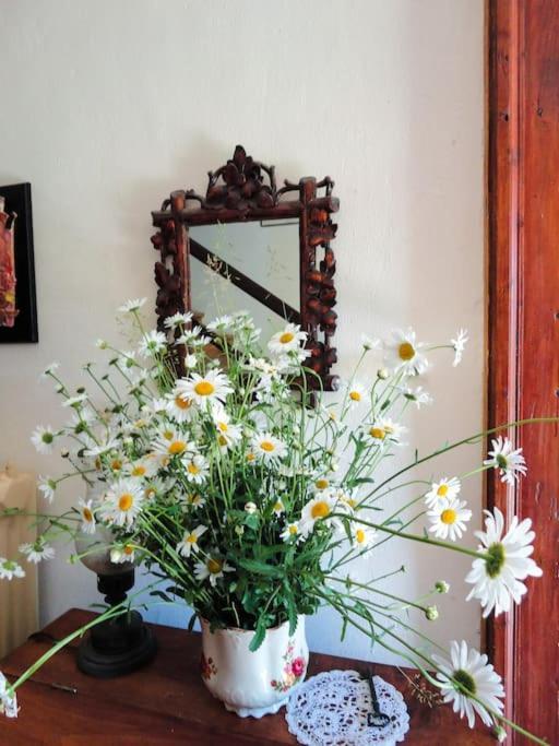 A Lovely House In Vipava Valley Ngoại thất bức ảnh
